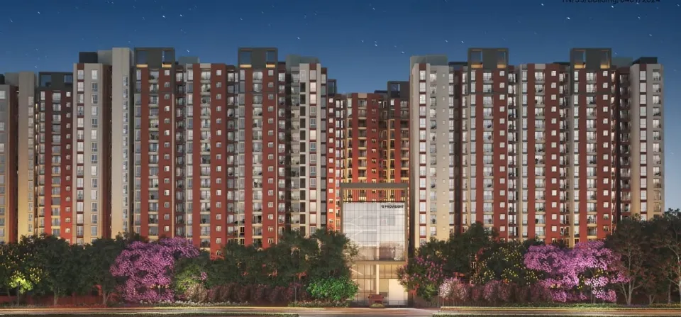 Provident Bayscape, Photograph