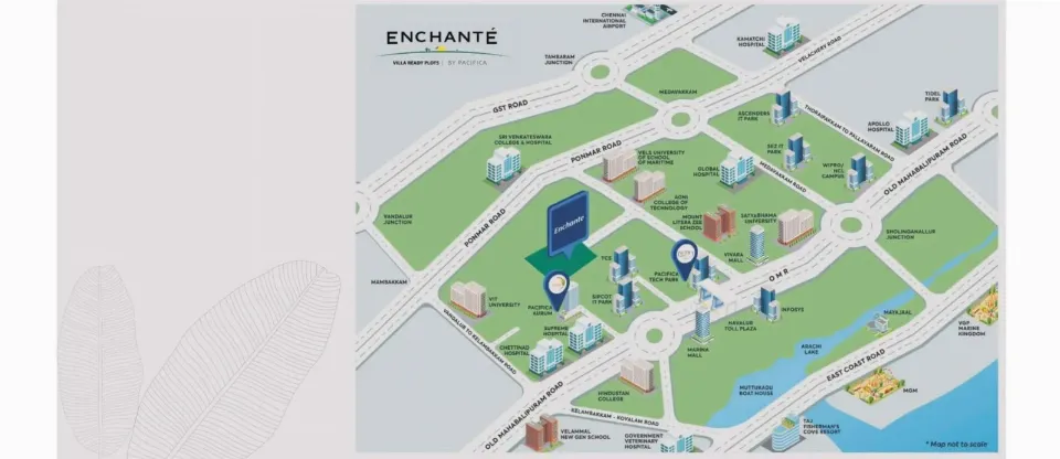 Enchante By Pacifica, Photograph