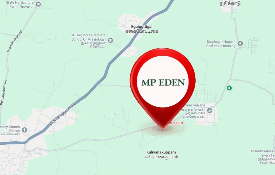 MP Eden, Photograph